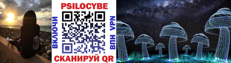 даркнет сайт  Ярцево  Галлюциногенные грибы Psilocybe 