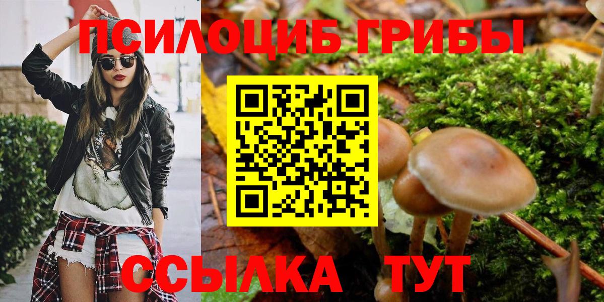 Псилоцибиновые грибы Magic Shrooms  Вход с VPN  Ярцево 